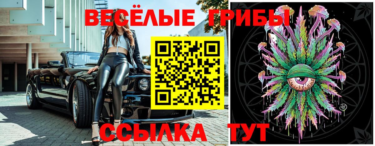 Псилоцибиновые грибы Psilocybe Ишим